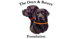Onyx & Breezy Foundation logo